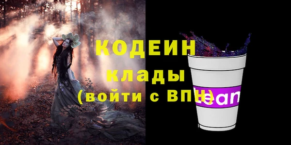 хмурый Елизово