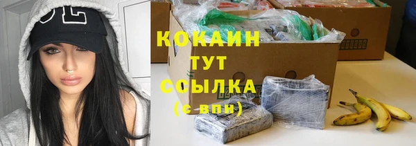 дурь Елабуга