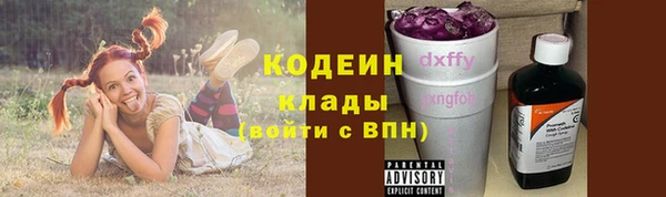 дурь Елабуга