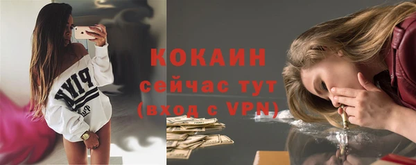 хмурый Елизово