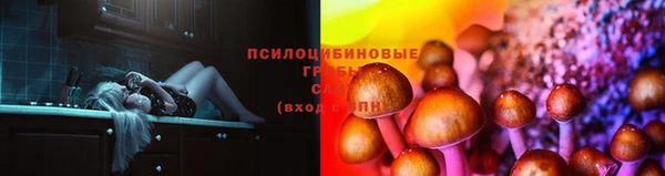 марки nbome Ельня