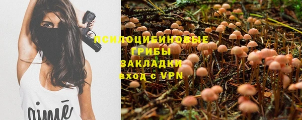 дурь Елабуга