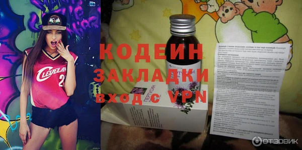 хмурый Елизово