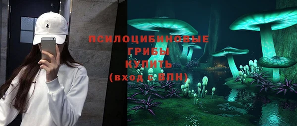 хмурый Елизово