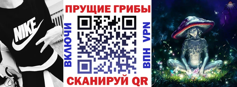 Купить  Игарка  Галлюциногенные грибы мицелий 